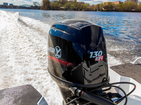 YAVA XL Fish